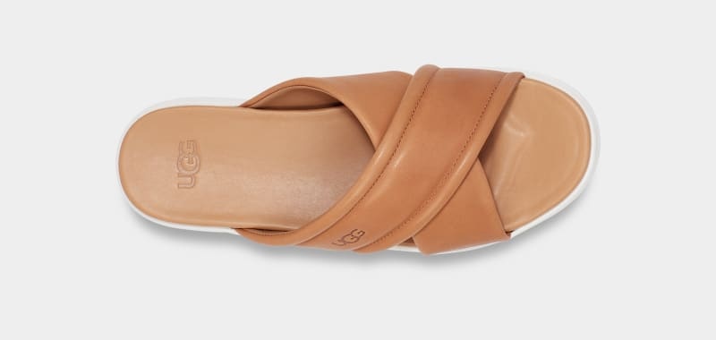 Brown Ugg Zayne Crossband Women's Slides | South Africa-5693218