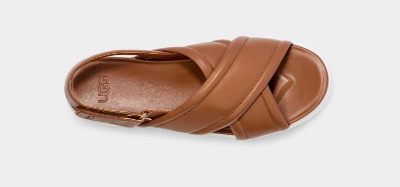 Brown Ugg Zayne Women's Slingback | South Africa-7401265