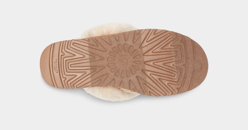 Cream Ugg Cozy Women's Slippers | South Africa-1374528