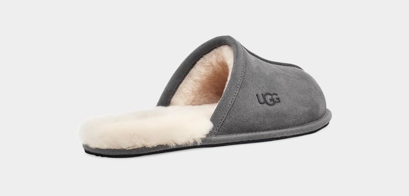 Dark Grey Ugg Scuff Men's Slippers | South Africa-7054138