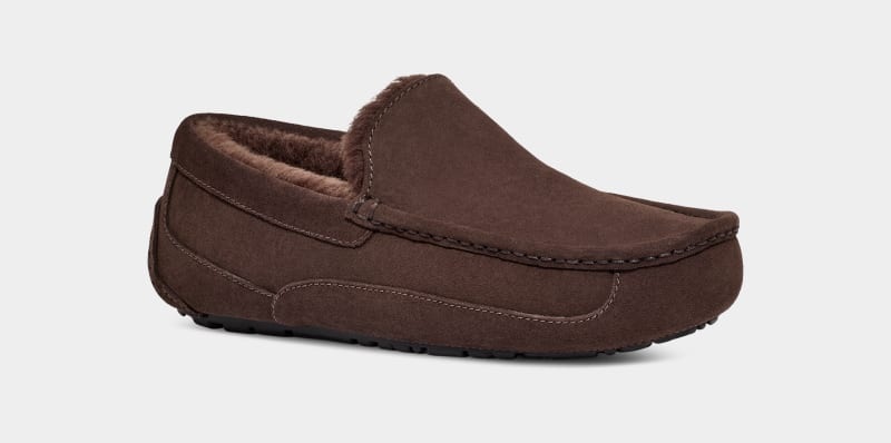 Deep Brown Ugg Ascot Men's Slippers | South Africa-7109824