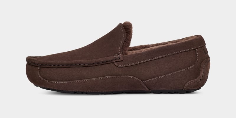 Deep Brown Ugg Ascot Men's Slippers | South Africa-7109824