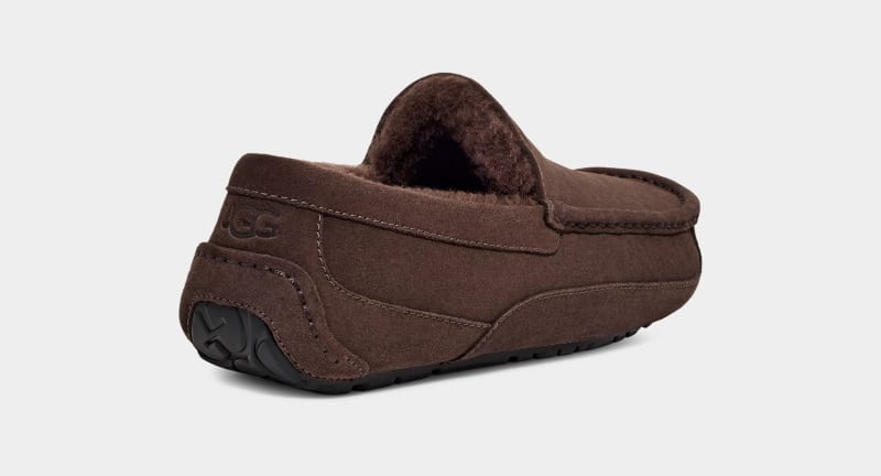 Deep Brown Ugg Ascot Men's Slippers | South Africa-7109824