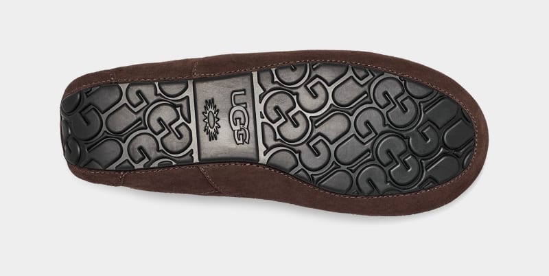 Deep Brown Ugg Ascot Men's Slippers | South Africa-7109824