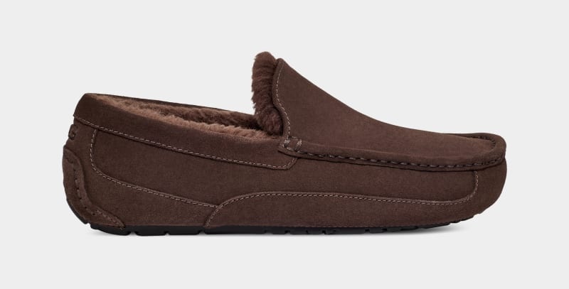 Deep Brown Ugg Ascot Men\'s Slippers | South Africa-7109824