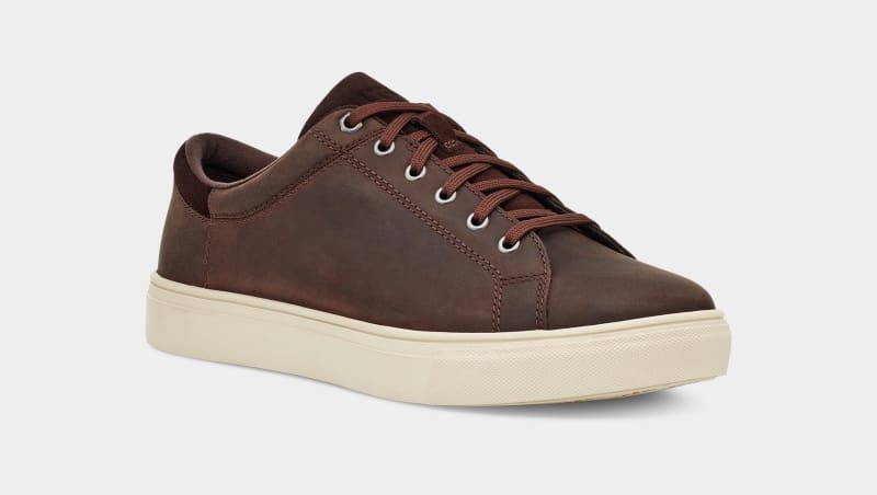 Deep Brown Ugg Baysider Low Weather Men's Sneakers | South Africa-8905463