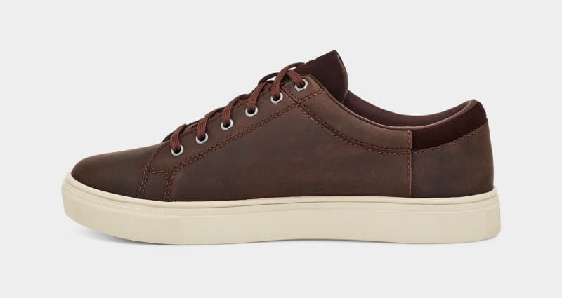 Deep Brown Ugg Baysider Low Weather Men's Sneakers | South Africa-8905463