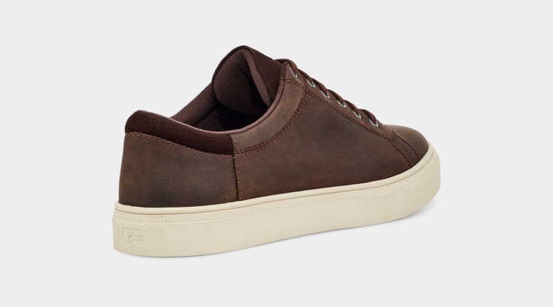 Deep Brown Ugg Baysider Low Weather Men's Sneakers | South Africa-8905463