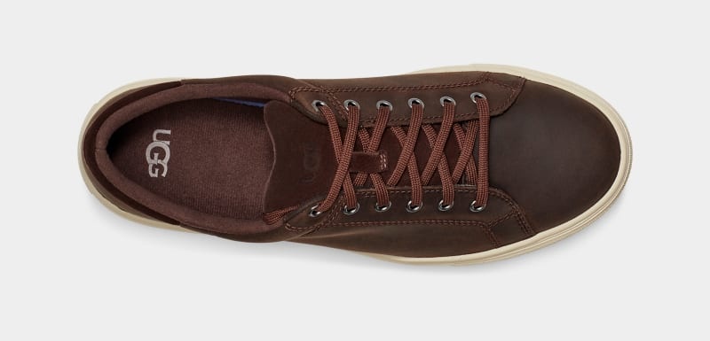 Deep Brown Ugg Baysider Low Weather Men's Sneakers | South Africa-8905463