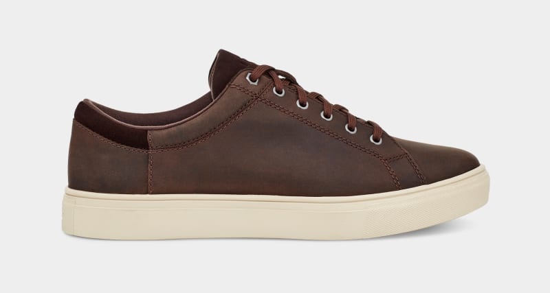 Deep Brown Ugg Baysider Low Weather Men\'s Sneakers | South Africa-8905463