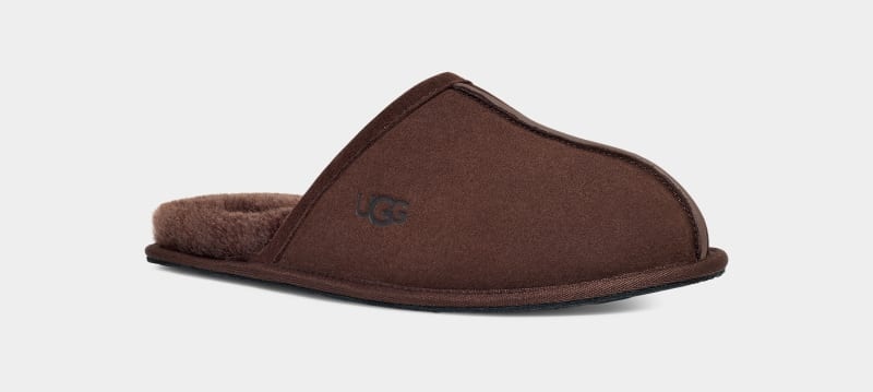 Deep Brown Ugg Scuff Men's Slippers | South Africa-8524139