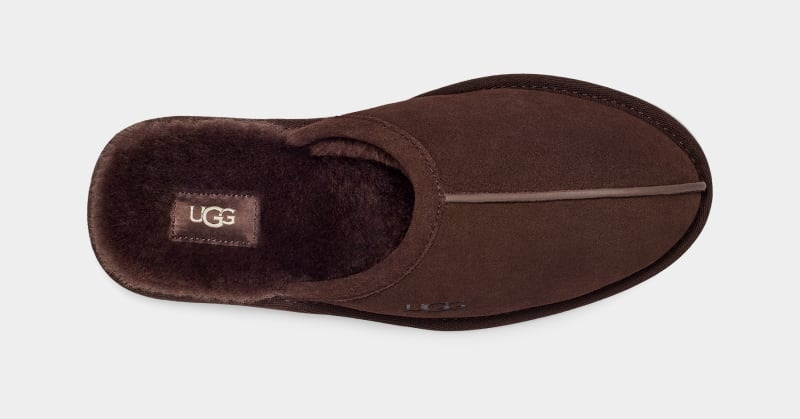 Deep Brown Ugg Scuff Men's Slippers | South Africa-8524139