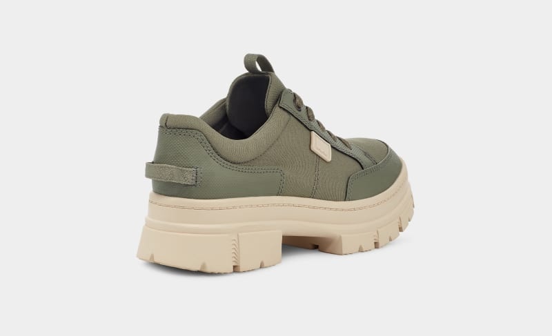 Green Ugg Ashton Hybrid Women's Sneakers | South Africa-0741283