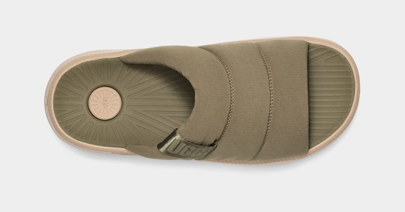 Green Ugg Maxxer Men's Slides | South Africa-3124576