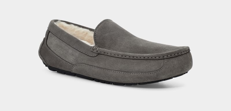 Grey Ugg Ascot Men's Slippers | South Africa-6754082