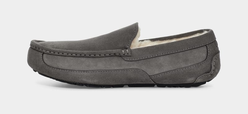 Grey Ugg Ascot Men's Slippers | South Africa-6754082