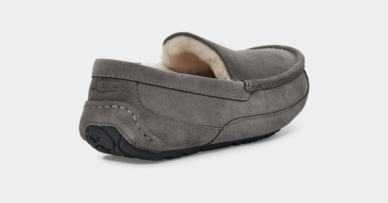 Grey Ugg Ascot Men's Slippers | South Africa-6754082