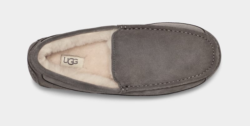 Grey Ugg Ascot Men's Slippers | South Africa-6754082