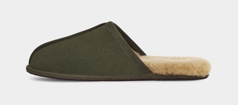 Khaki Ugg Scuff Men's Slippers | South Africa-6029347