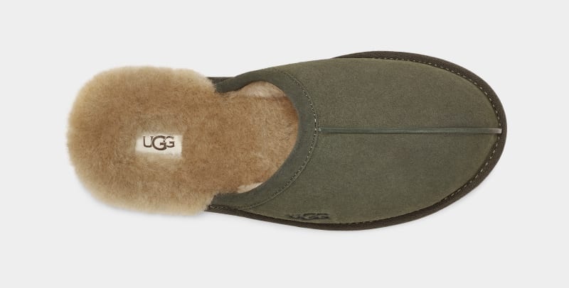 Khaki Ugg Scuff Men's Slippers | South Africa-6029347