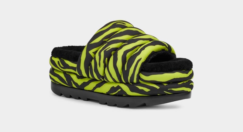 Light Green Ugg Maxi Tiger Print Women's Slides | South Africa-4352718