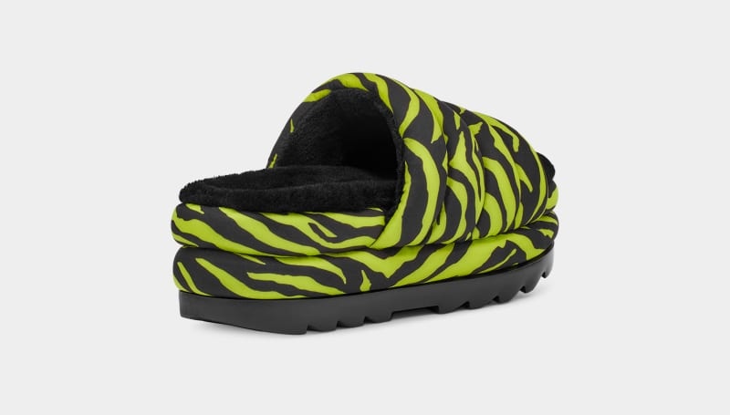 Light Green Ugg Maxi Tiger Print Women's Slides | South Africa-4352718