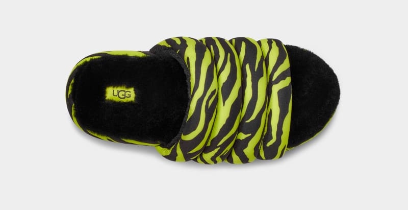 Light Green Ugg Maxi Tiger Print Women's Slides | South Africa-4352718