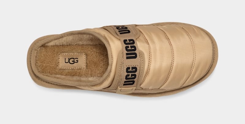 Mustard Ugg Dune Slip-On Lta Men's Slippers | South Africa-9582701