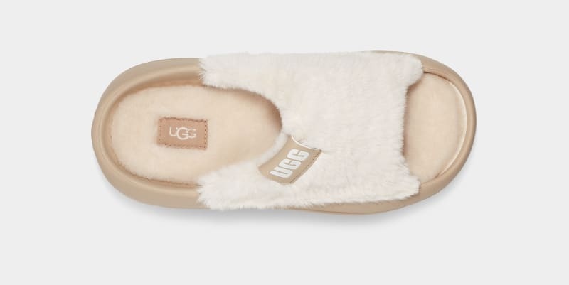 Mustard Ugg Foamo Uggplush Women's Slides | South Africa-9317402