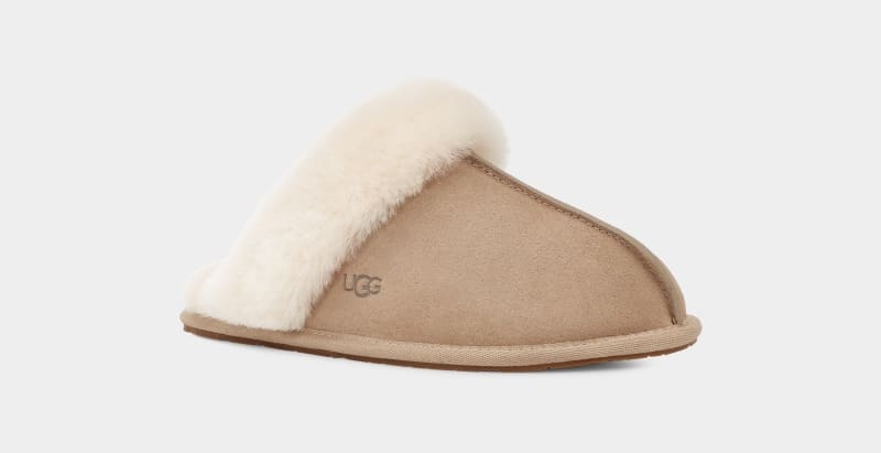 Mustard / Beige Ugg Scuffette Ii Women's Slippers | South Africa-9473285