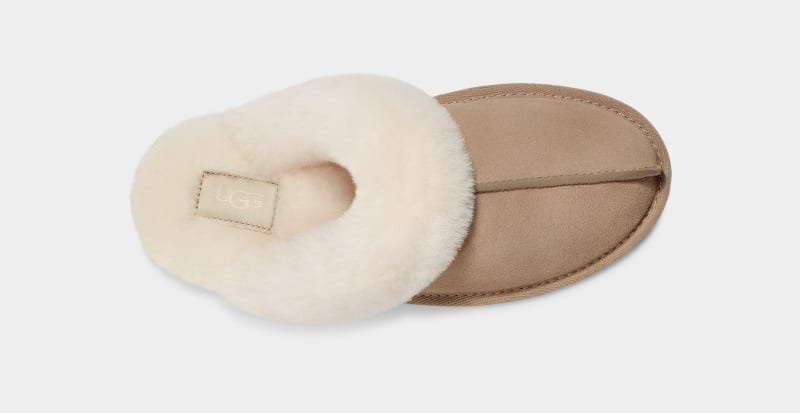 Mustard / Beige Ugg Scuffette Ii Women's Slippers | South Africa-9473285