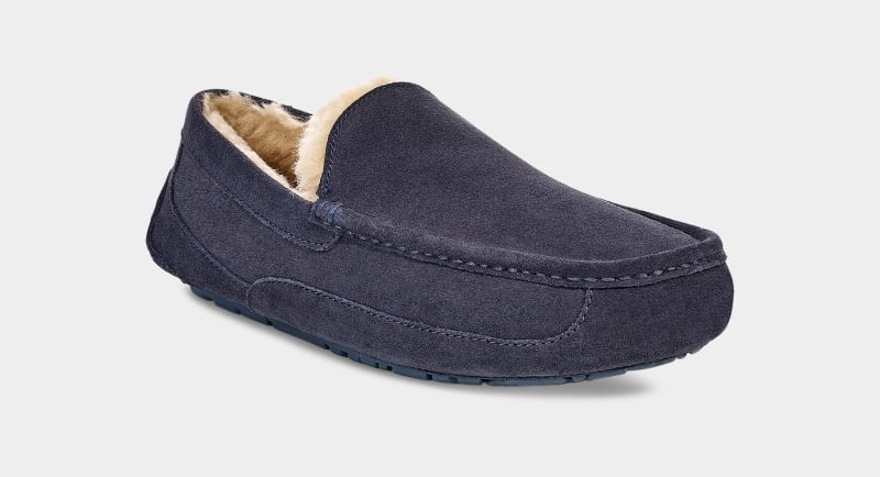 Navy Ugg Ascot Men's Slippers | South Africa-1769340