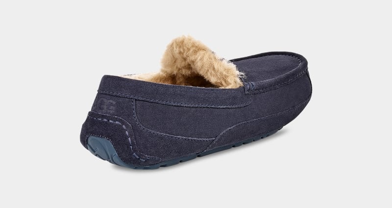 Navy Ugg Ascot Men's Slippers | South Africa-1769340