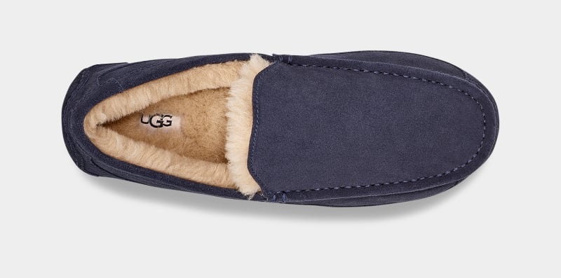 Navy Ugg Ascot Men's Slippers | South Africa-1769340