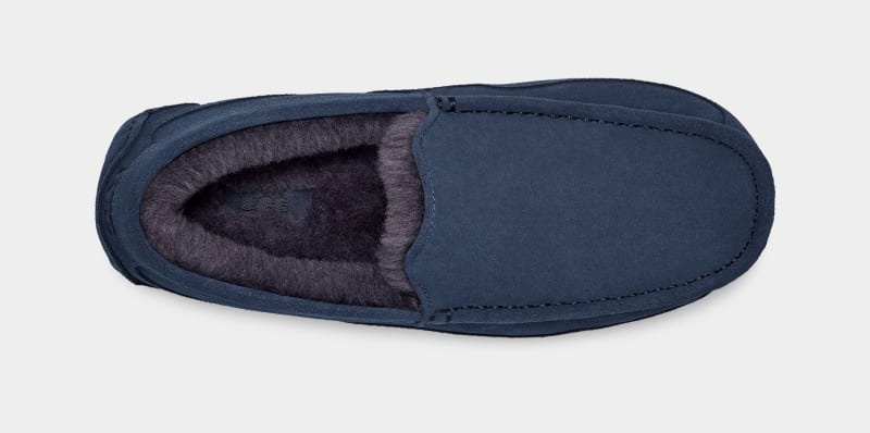 Navy Ugg Ascot Men's Slippers | South Africa-3147250