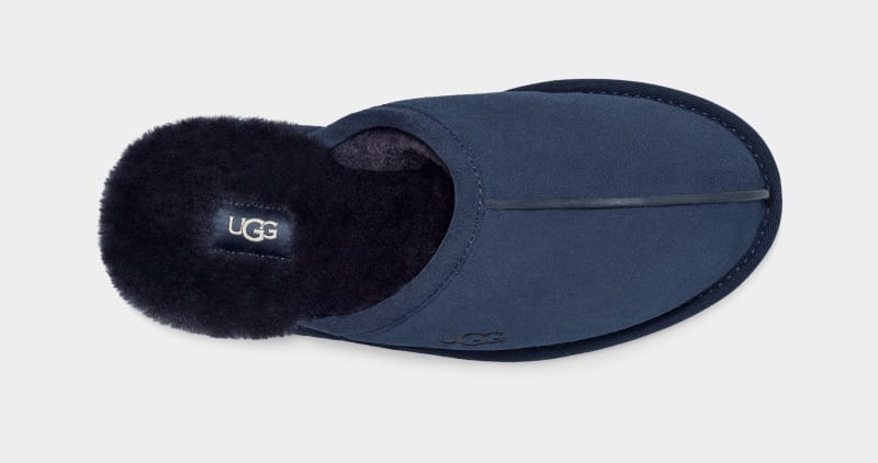 Navy Ugg Scuff Men's Slippers | South Africa-8273649