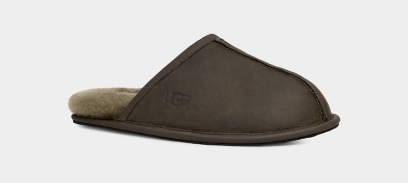 Olive Ugg Scuff Leather Men's Slippers | South Africa-4396871