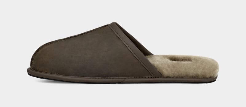 Olive Ugg Scuff Leather Men's Slippers | South Africa-4396871