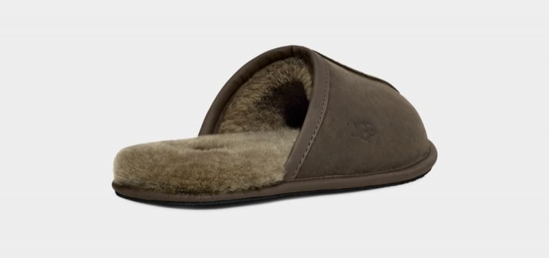 Olive Ugg Scuff Leather Men's Slippers | South Africa-4396871