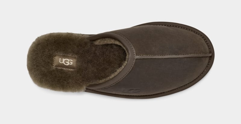 Olive Ugg Scuff Leather Men's Slippers | South Africa-4396871