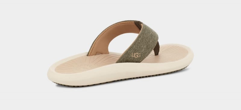 Olive / Grey Brown Ugg Brookside Ii Flip Canvas Men's Sandals | South Africa-1760485