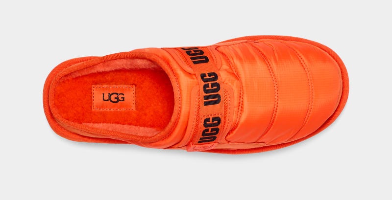 Orange Ugg Dune Slip-On Lta Men's Slippers | South Africa-8054793