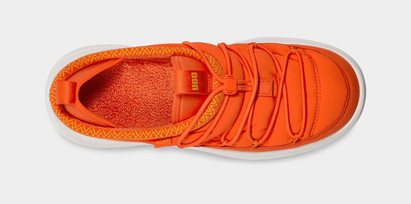 Orange / Lemon Ugg Ca78 Tasman Men's Sneakers | South Africa-1689053