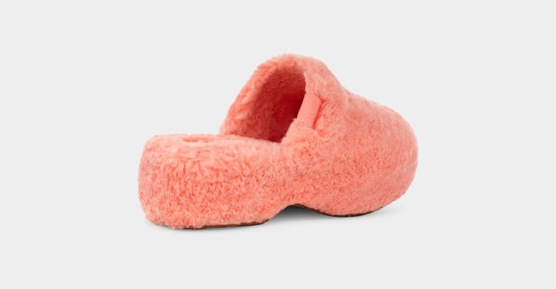 Pink Ugg Fuzz Sugar Clog Women's Clogs | South Africa-5231069