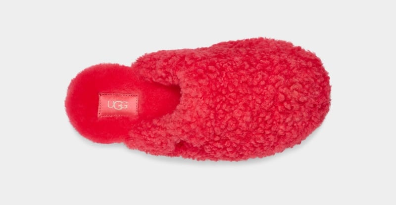 Pink Ugg Maxi Curly Women's Slides | South Africa-9152786