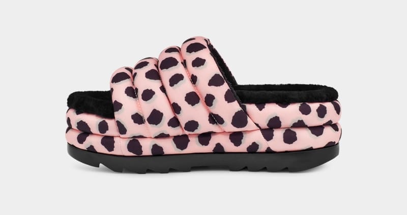 Pink Ugg Maxi Slide Cheetah Print Women's Slippers | South Africa-4237608