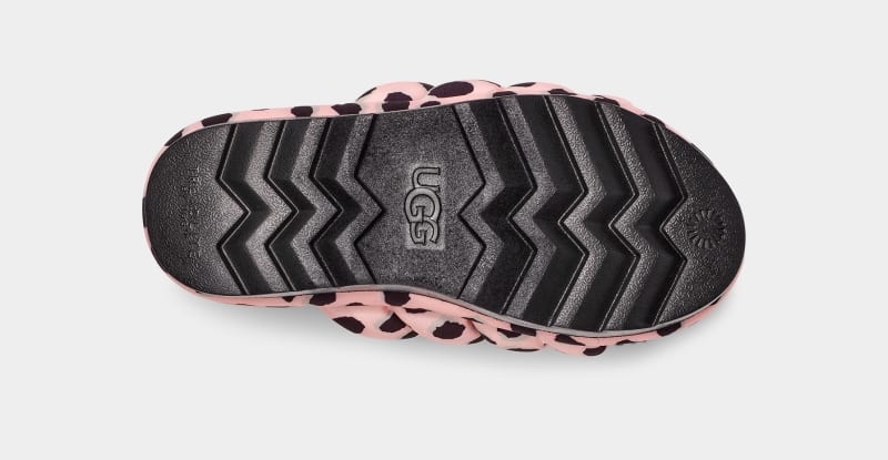 Pink Ugg Maxi Slide Cheetah Print Women's Slippers | South Africa-4237608