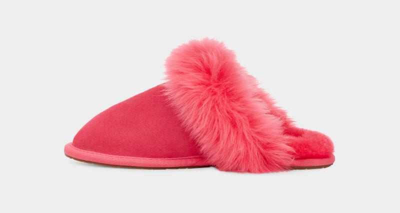 Pink Ugg Scuff Sis Women's Slippers | South Africa-3704258