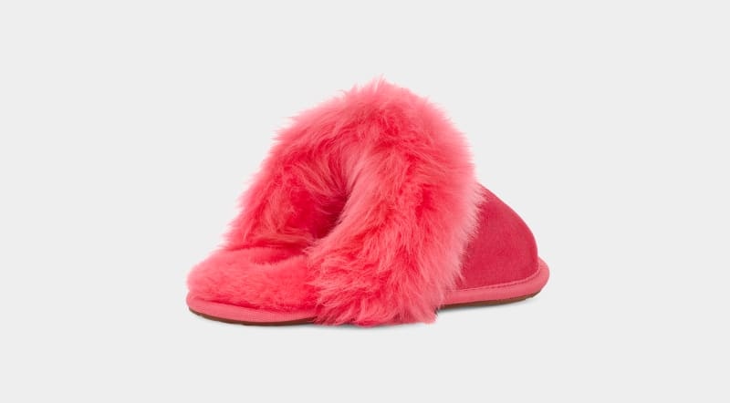 Pink Ugg Scuff Sis Women's Slippers | South Africa-3704258