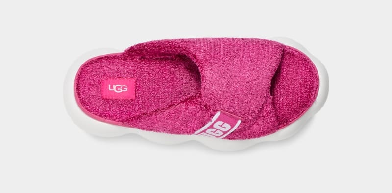 Pink Ugg Sugarcloud Women's Slides | South Africa-9071325